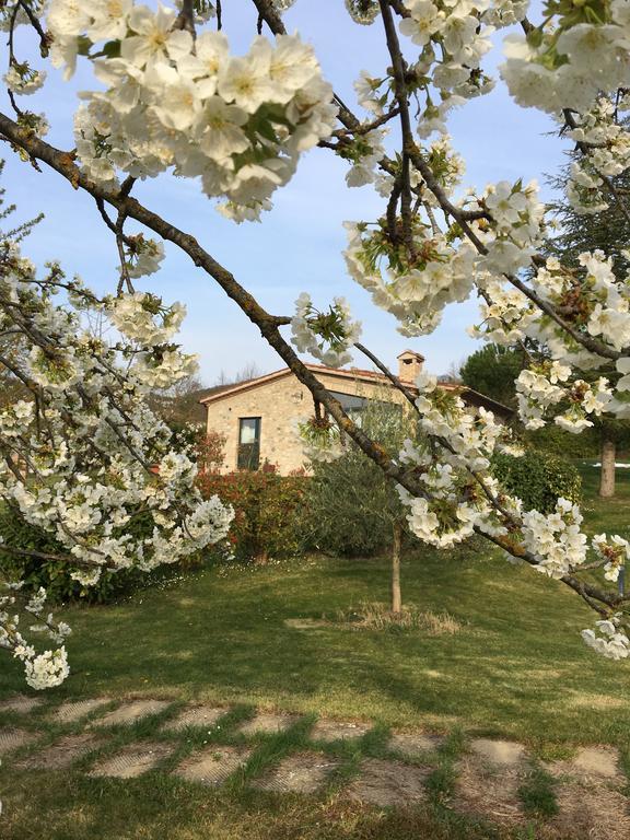 Agricola Caicucci Villa Montone  Eksteriør bilde